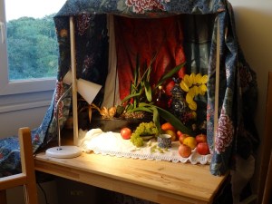 La caisse à natures mortes