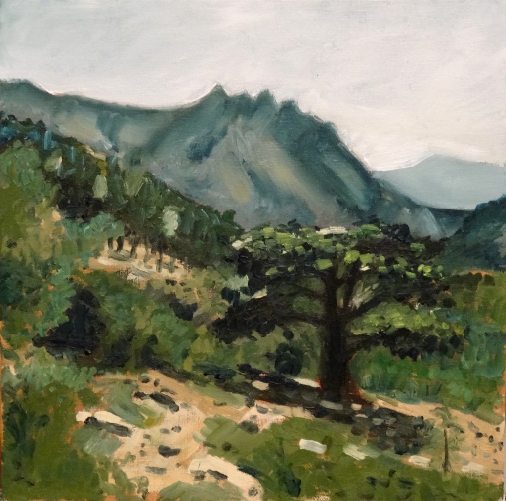 26/01/2014 : Paysage Corse - Huile sur toile 30 x 30 cm