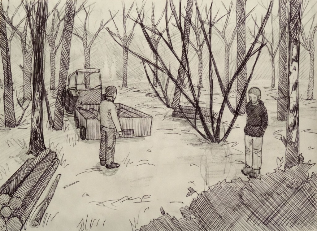 16/03/2015 : Dessin préparatoire Forêt - Bic et critérium 