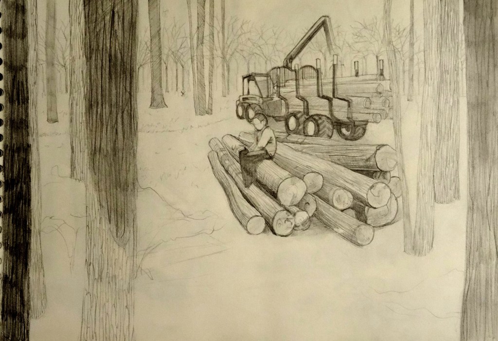 01/05/2015 : Ancienne version Forestier - Criterium sur Canson