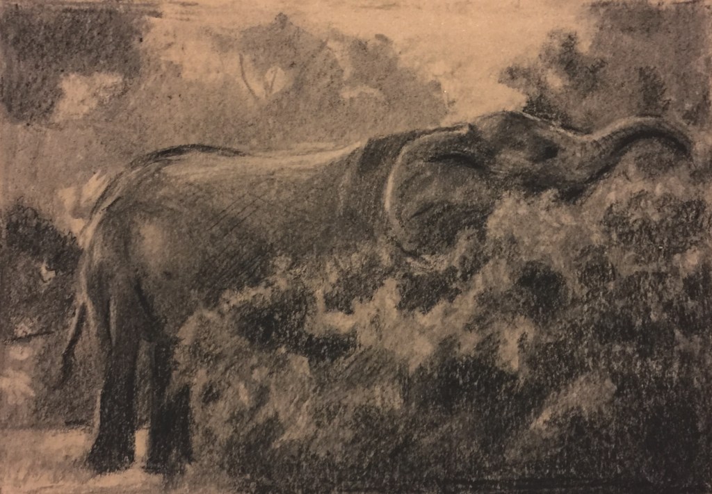30/09/2015 : l'éléphant - charcoal 20 x 20 cm