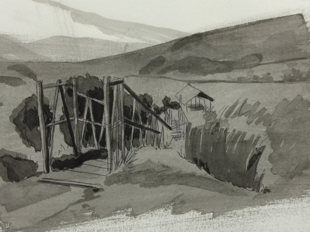 22/11/2015 Volcan Rucu Pinchincha - encre de chine et stylo 20 x 30 cm